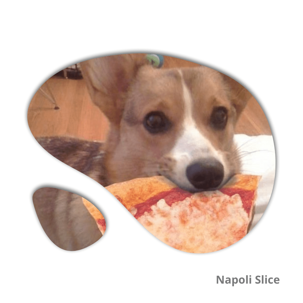 Pueden los perros comer pizza de queso