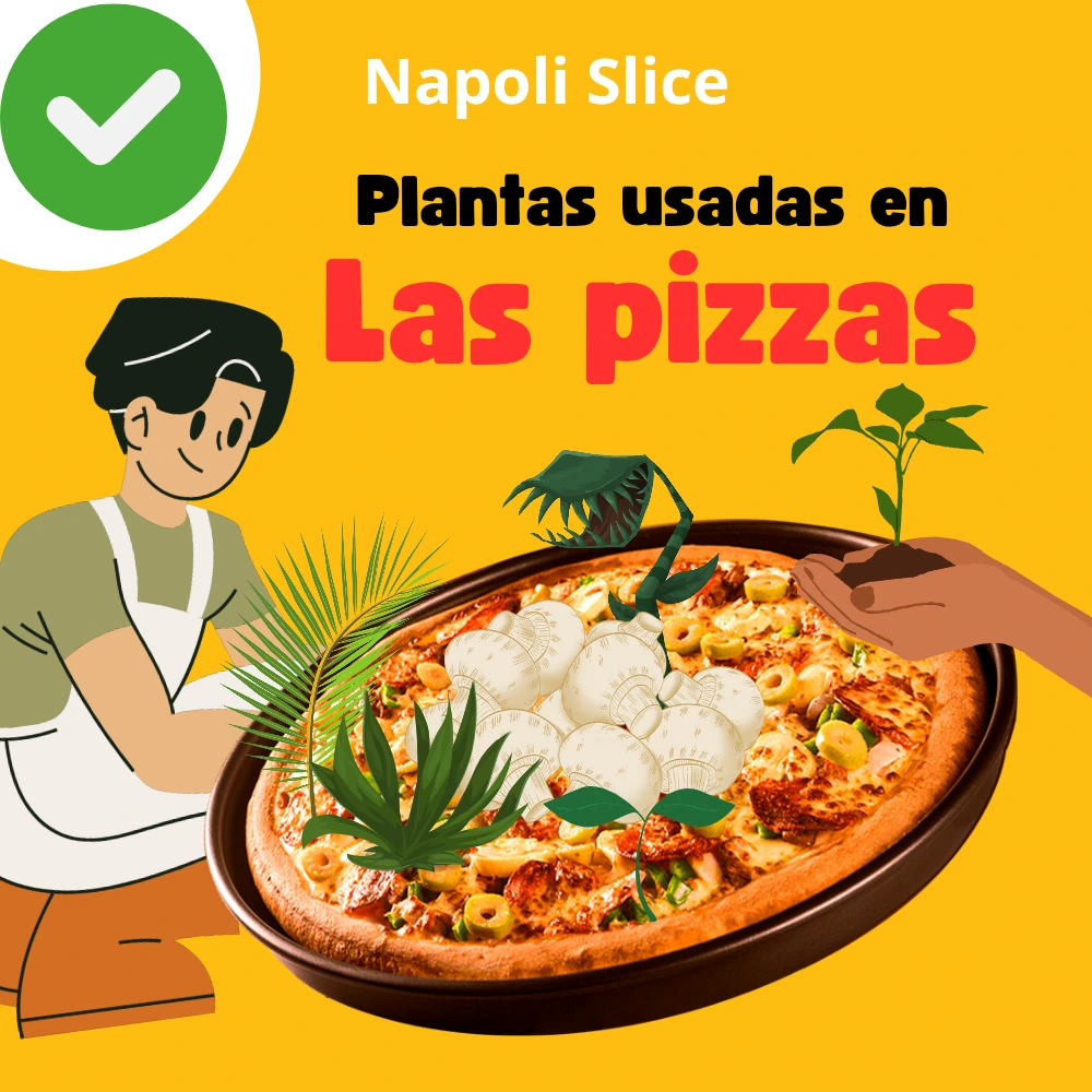Qué plantas se pueden añadir a la pizza